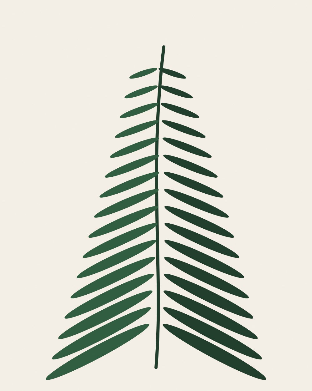 A tall deep green fern frond with paired leaflets narrowing to the tip, centred on warm white paper.
