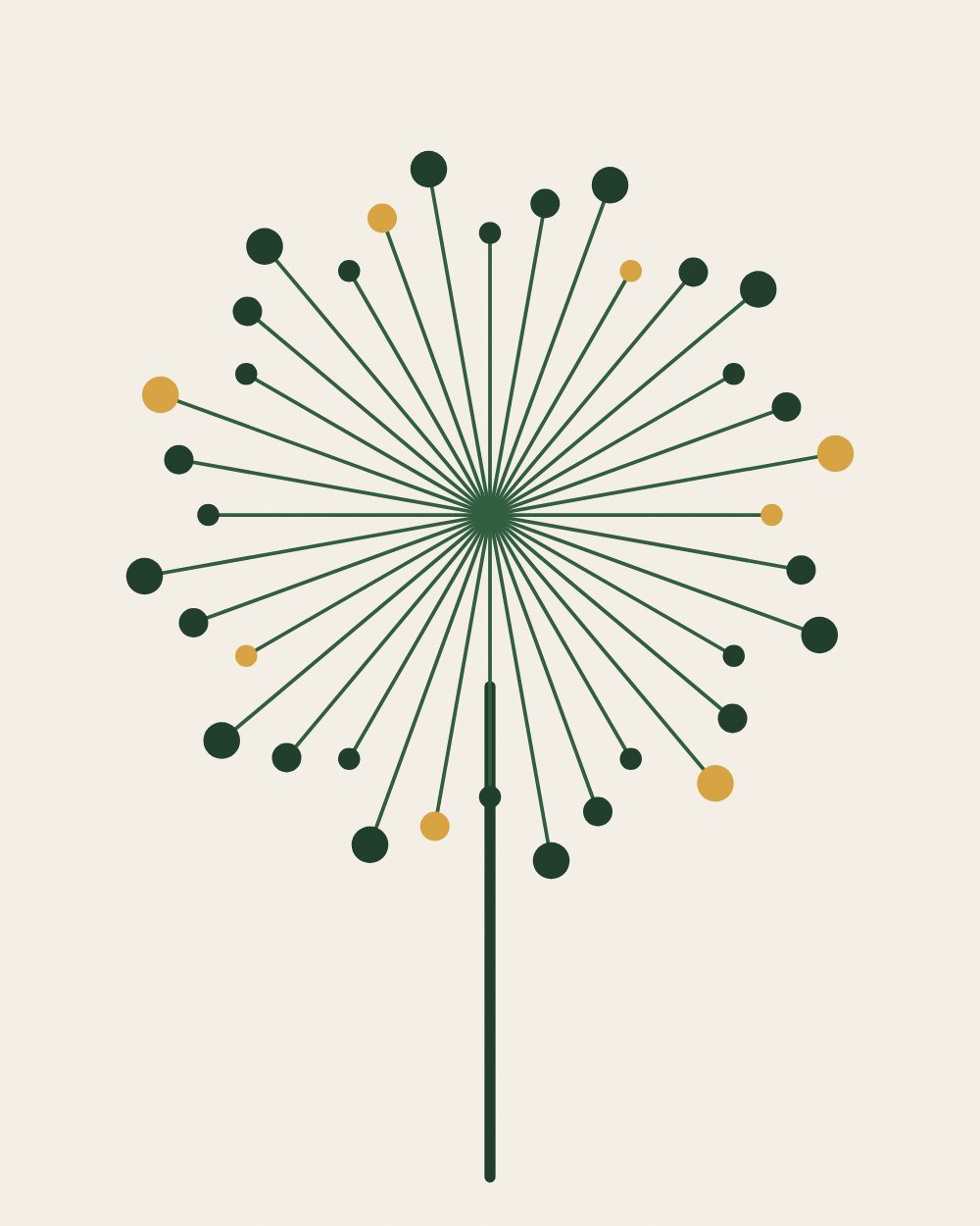 An allium seed head of thin green stalks radiating from one point, each ending in a dark green or ochre dot, on a tall stem on warm white paper.